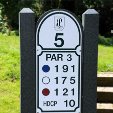 Pinecrest Golf Hole 5 Par 3