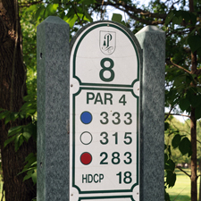Pinecrest Golf Hole 8 Par 4